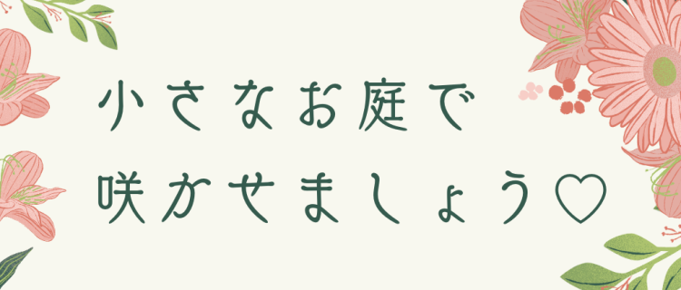 小さなお庭で咲かせましょう♡